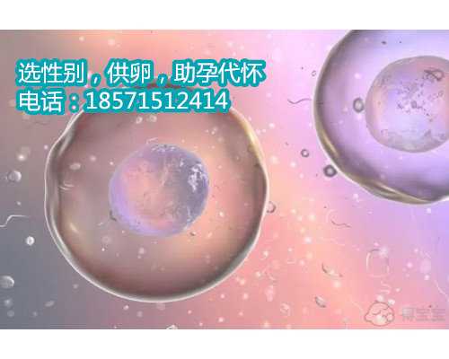 湖北供卵电话,12022贵州试管三代机构助孕男孩名单