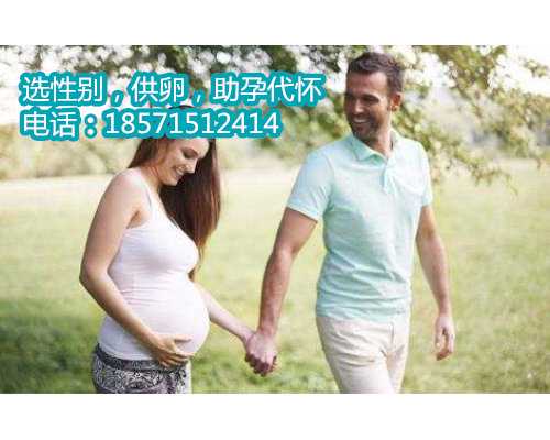2020武汉找人代生孩子费用,1广东省妇幼保健院知名试管婴儿医生