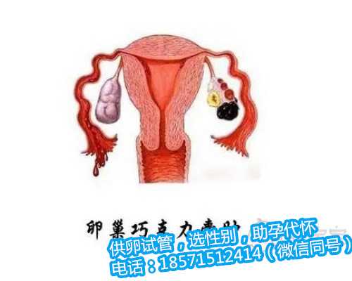 武汉正规的代怀妈妈公司,2月经不调影响试管移植成功率吗