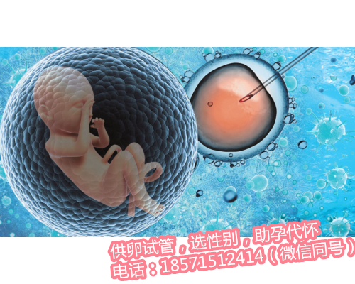 武汉试管供卵代怀医院,三胎社会抚养费征收对象