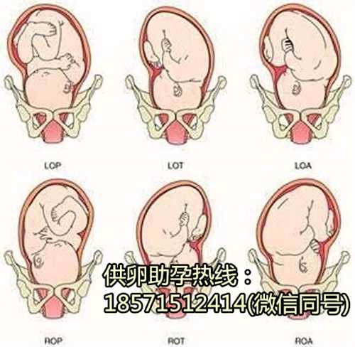 武汉正规代孕医院,2022成都做供卵三代试管包生男孩多少钱