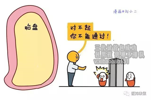 武汉供卵的风险_重庆最可靠的助孕机构,试管一个好还是二个好